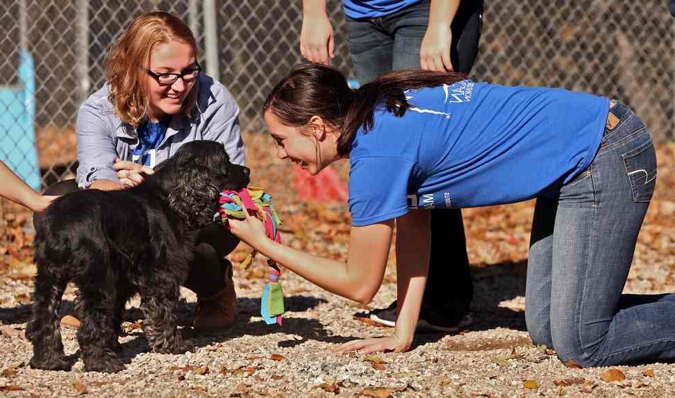 Two students in blue Make A Difference Day shirt petting a black dog